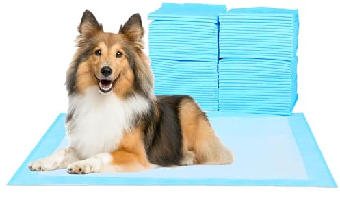 FluffyDream Trainingsunterlage für Hunde und Welpen, 100-Stück 56X56cm Puppy Pads, Welpenunterlagen, Auslaufsicheres 5-Lagiges Design mit Schnell Trocknender Oberfläche, Blau