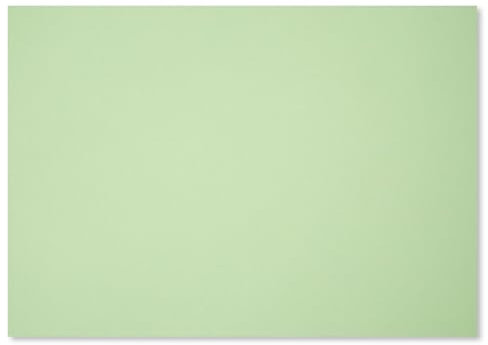 100er Set Tischunterlagen Pastell I Platzsets aus Papier I DIN A3 I beidseitig Mittelgrün I Einweg Tischset I az151