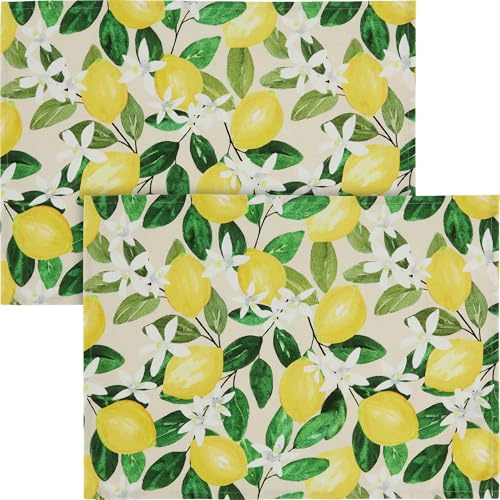 Erwin Müller Tischset 2er, Tischwäsche Zitronen, mediterran gelb-grün Größe 35x50 cm - Robustes Canvas-Gewebe, pflegeleicht und strapazierfähig
