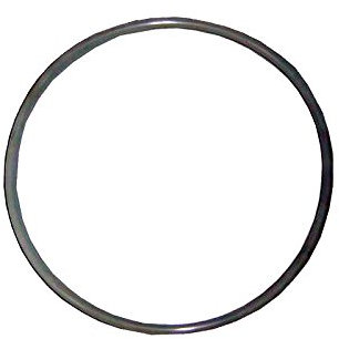 AstralPool JUNTA TORICA 255X4 marca