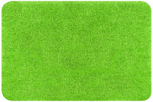 Spirella – Badematte – Weiche und Bequeme Acryl-Badezimmermatte – Ideal fürs Badezimmer – rutschfest und saugfähig – Maße: 55 x 65 cm – Grün