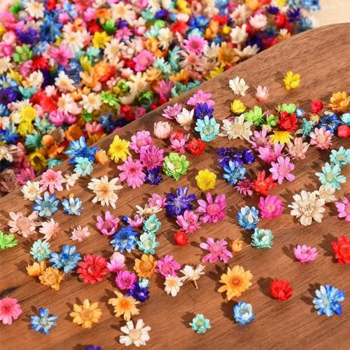 Nayyana 710 Stück getrocknete Blumen für Kunstharz-Kunsthandwerk, kleine getrocknete Blumen für Nägel, echte natürliche kleine getrocknete gepresste Blumen für Ohrringe, Schmuck