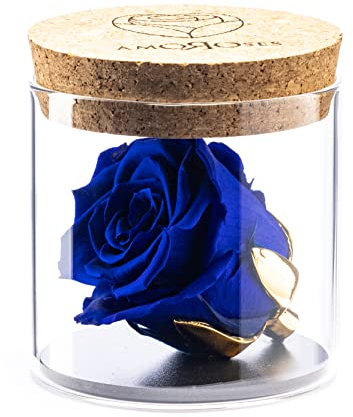 Amoroses Bijou - Rosa Stabilizzata Eterna con Calice Placcato Oro 24K in Barattolo di Vetro | Idea Regalo (Rosa Blu Reale)