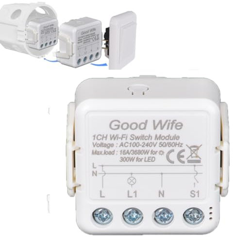 Interruptor WiFi 16A, Smart Life APP Control mini módulo relé, bricolaje para electrodomésticos con control remoto Smart Life, compatible con Alexa Google Home, control de 1 o 2 vías, (1)