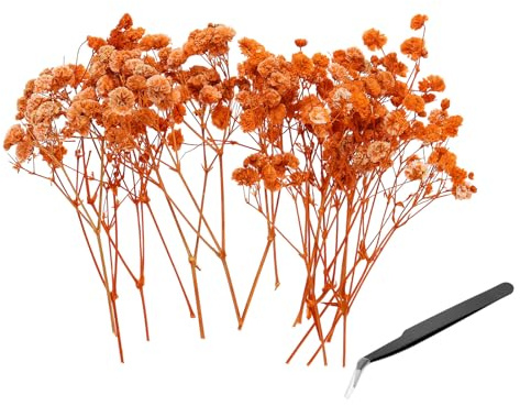 PATIKIL Kit Mini Fiori Secchi Di Gypsophila, 30Pcs Mazzi Floreali Pressati Naturali Arancioni Da 4 Pollici Con Pinzetta Per DIY Regalo Artigianato Resina Decorazioni Matrimonio.