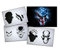 UMR-Design AS-062 ami Skull Airbrushschablone Step by Step Grösse XL