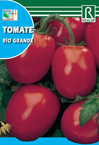 Semilla Tomate Río Grande - Rocalba