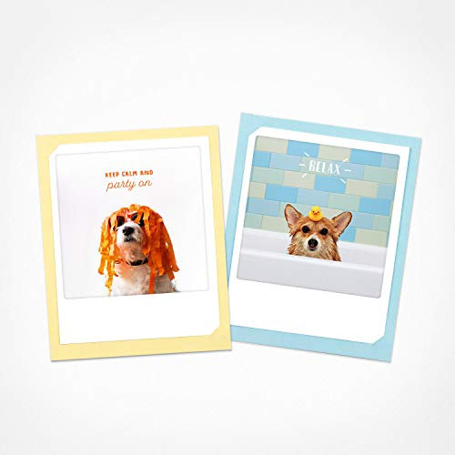 PICKMOTION Relax | 2er Set Klappkarten | Grußkarten - inkl. Umschlag, Bilder von Instagram Fotografen designed in Berlin - Grußkarten