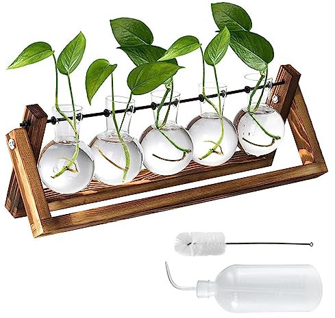 Vermehrungsstation Für Pflanzen, 5 Stück Upgrade Zwiebel Vase Pflanzer Mit Holzständer, Hydroponik Glasvase mit Flaschen und Bürsten, Glas Blumentopf Innen für Zuhause Garten Büro Schreibtisch