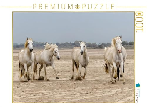 CALVENDO Puzzle EIN Motiv aus dem Kalender Die Wilden Pferde der Camargue | 1000 Teile Lege-Größe 64 x 48 cm Foto-Puzzle für glückliche Stunden