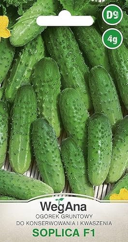 WegAna Gemahlene Gurke Soplica F1 4g, Robuste Gemüsesamen Gemüse Samen Anzucht Saatgut Balkon & Garten