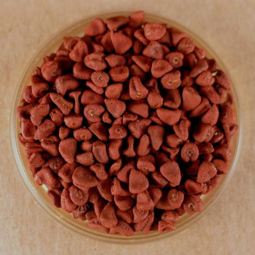 Annatto Seeds, Whole - 10 lbs Bulk