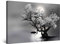 Startonight Impression sur Toile Fleur Arbre et Lune, Art Encadré Imprimée Tableau Motif Moderne Décoration Tendu sur Chassis Prêt à Accrocher 60 x 90 cm Idée Cadeau Élégante et Originale