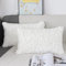 NIULAA Weich Plüsch Kissenbezug 30x50 2er Set Weiß Deko Kissenbezüge Pelz Flauschig Kissenhülle Luxus Zierkissen Sofakissen Kunstfell Kissen für Sofa Wohnzimmer Schlafzimmer