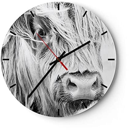 Modern Wanduhr Kuh Scotch Tier 40x40cm Rund Groß Wand Uhr Glas Analog Zimmeruhren Küche Büro Wohnzimmer Glasuhr Wall Clock Dekoration Design Wanddekoration Küchenuhr C3AR40x40-5129