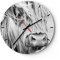 Modern Wanduhr Kuh Scotch Tier 40x40cm Rund Groß Wand Uhr Glas Analog Zimmeruhren Küche Büro Wohnzimmer Glasuhr Wall Clock Dekoration Design Wanddekoration Küchenuhr C3AR40x40-5129