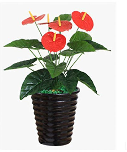 GRFIT Topfpflanzen Künstliche Pflanze Schwarzer Blumentopf Künstliche Topf Simulation Pflanze Topf Künstliche grüne Pflanze Rote Palme (Size : C)