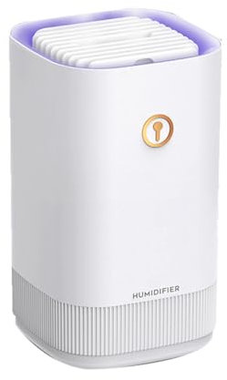 RuiJOTWAT Air Humidifier, Dual Nozzle Humidifier, Usb Silent, 3L Large Capacity, Suitable For Home Office Bedroom