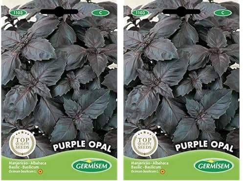 Germisem Purple Opal Semillas de Albahaca 2 g, EC1103 (Paquete de 2)