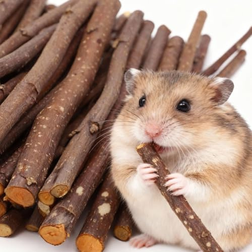 200g Apple Wood Chew Sticks for Hamster, Rabbit, Chinchilla, Guinea Pig and Parrot, Natural Molar Teeth Grinding Toy Treats