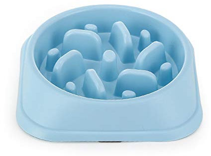 Txyk Gamelle d'alimentation Lente pour Chiens, Alimentation Ralentie et Interactive pour Les Animaux Bleu Durable de Cuvette d'eau de Boisson d'animal familier antidérapant carré Bleu