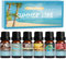 SALKING Sommer Ätherische Öle Set, 6x10mL 100% Aromatherapie Duftöl für Diffuser, Luftbefeuchter, Massage, Kokosnuss, Ananas, Wassermelone, Meeresbrizf, Mojito, Vanilleeis