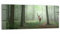 DEQORI Glasbild Acrylglas | Motiv Hirsch zwischen Bäumen | horizontal einteilig 125x50 cm | schöne Dekoration | Wandbild für Wohnzimmer, Schlafzimmer, Flur & Küche | moderne Wanddeko