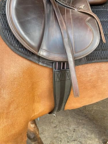 Preto Synthetischer Sattelgurt für Pferde, bequem, Waffelmuster, Neopren, Anti-Scheuern, elastisches Ende, Kontur, schwarz, anatomisch/ergonomisch, PVC-Sprungdämpfung