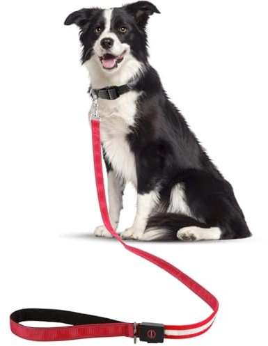 LED Hundeleine Für Hunde, Reflektierend Hundeleine Mit 4 Lichtmodi, 1,2m USB Leine Hund Große Hunde Aufladbar Hochsichtbarkeit Für Große Und Kleine Hundes, Sicherheits Für Spaziergänge (Rot)