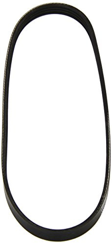 Metzger 4PK730 DAYCO Keilrippenriemen, andere | Kompatibel mit: RENAULT CLIO II