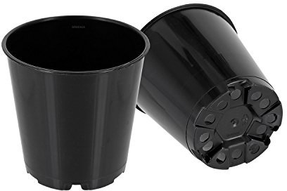 GREEN24 100 Runde Hohe Mini Pflanztöpfe Ø 6 cm Anzuchttöpfe Pflanztöpfe Blumentöpfe Saattöpfe runde glänzende Töpfe (100 Stück)
