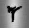 Aufkleber für Auto, Laptop, Motiv: Kampfsport, Karate, Taekwondo, Kung Fu