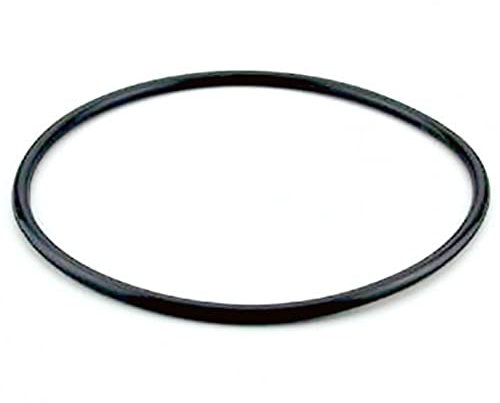 AstralPool JUNTA TAPA marca