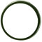 Vaessen Creative Filo di Ferro Modellabile Piatto da 5 m x 1 mm x 3,5 mm Dark Green – Filo Flessibile per Creazioni Floreali, Realizzazione di Gioielli e Modellismo