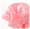 Canson Rouleaux Papier de soie 0,5 x 5 m Rose Acidulé