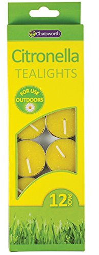 Citronella Teelicht Kerzen - 12er Pack