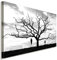 LaraArt Bilder Horror Baum Leinwandbild LaraArt Studio Wanddeko Wandbild 70 x 50 cm