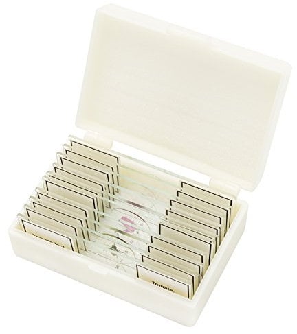 Bresser Microscope Prepared Slides - White (Pack of 10)