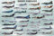 Educational - Bildung Flugzeuge - Modern Warplanes Bildungsposter Plakat Druck - Maxiposter Version in Englisch - Grösse 91,5x61 cm