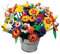 THE AMAZING FLOWER KIT
