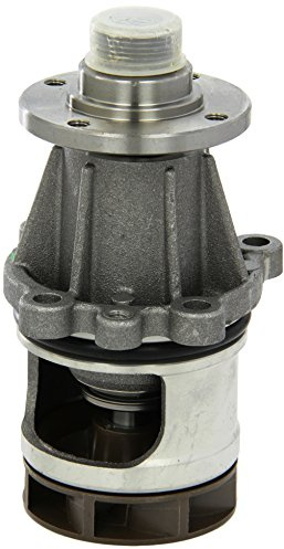 Saleri SIL PA660 Wasserpumpe
