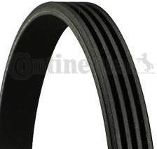 CONTITECH 6550289000 Keilriemen geriffelt,