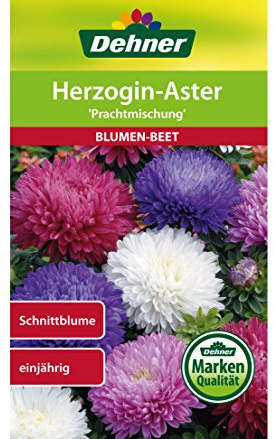 Dehner Blumen-Saatgut, Herzogin-Aster Prachtmischung, 5er Pack (5 x 0.9 g)
