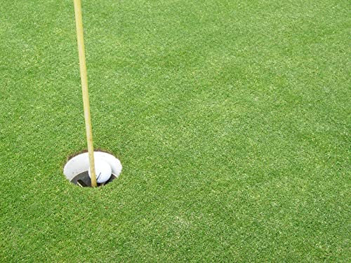 Kiepenkerl RSM 4.1.3 Grün | 10kg Saatgut Golfplatz für Höhenlagen