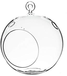 WGVI HCH0106 Hängendes Pflanzen-Terrarium aus Glas, farblos, 6