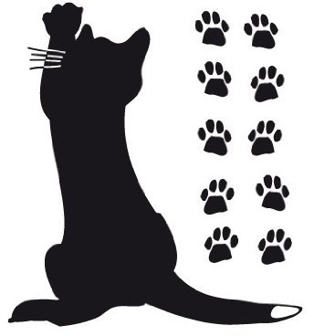 Bilderwelten Fensterfolie Fenstertattoo Kleine Katze Glas-Aufkleber Frosted 33 x 30cm