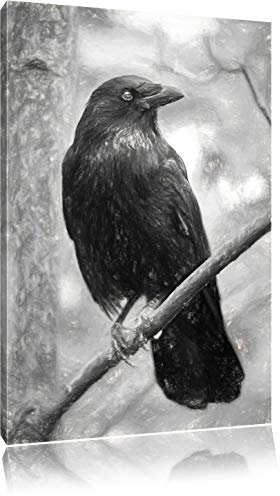 Pixxprint schwarzer Rabe auf AST, Größe: 100x70cm, Leinwandbild, fertig gespannt, Wandbild, Dekoration, Kunstdruck, kein Poster