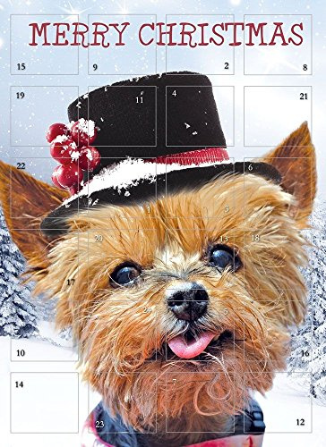 Advent Calendar Cute Puppy Dog Hat Snow Glitter Finish