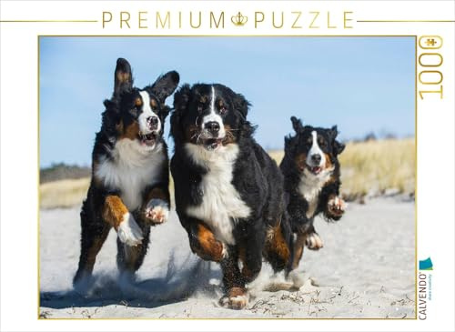 CALVENDO Puzzle EIN Motiv aus dem Kalender Treuer Freund Berner Sennenhund | 1000 Teile Lege-Größe 64 x 48 cm Foto-Puzzle für glückliche Stunden