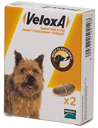 Veloxa Chewable Dog Wormer, 4 Tablets